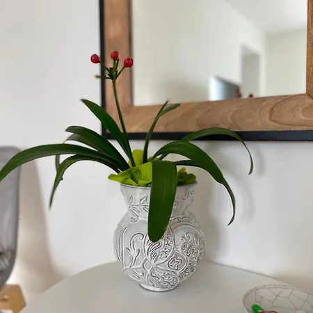 Piccola Corte أوديني